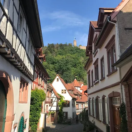 Apartment Turmwohnung Buedinger Hof Weinheim