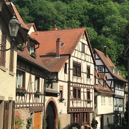 Turmwohnung Buedinger Hof Apartment *
